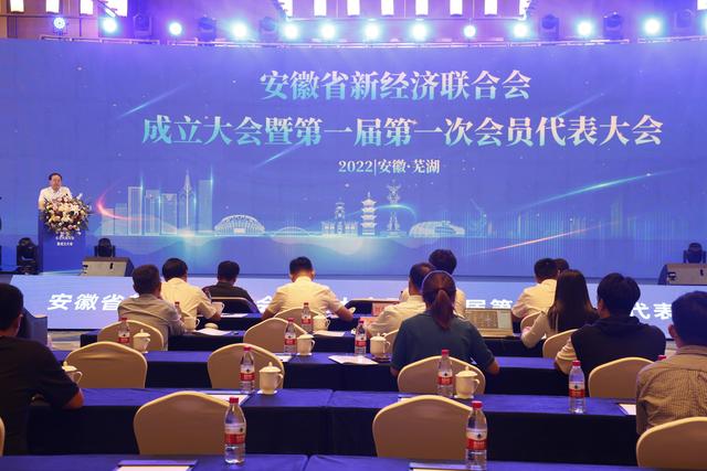 安徽省新经济联合会成立大会在芜湖召开
